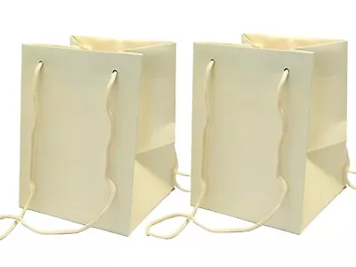 2x Florist Hand Tied Porto Bag Flower Plant Gift Bag 25cm X 19cm Ivory • £4.99