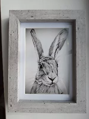 £0.99 • Buy HARE  6 X 4  Unframed Matt Photo Print Picture Love Gift Animal Drawing