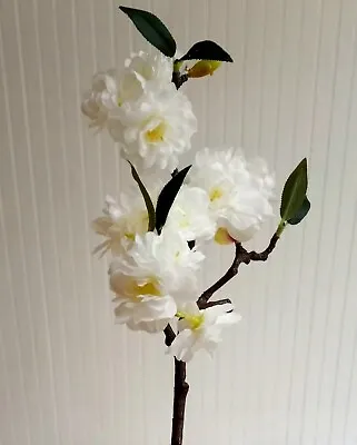 (4 Pcs) Natural Cream Cherry Blossom 16  Branch Sakura Silk Flower Home Decor  • $17.98