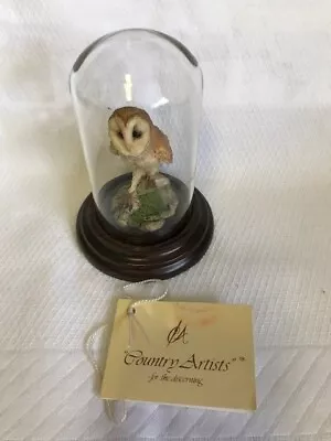 Country Artists Ornament  Owl In A Glass Dome • £20