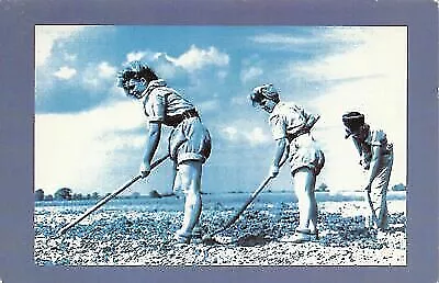 Nostalgia Postcard WW2 Land Army Girls Hoeing Farm Work Atherstone Repro NS1 • £2.50