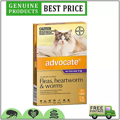 ADVOCATE Spot On Heartworm Flea Control 6 Doses For Cats Over 4 Kg PURPLE • $79.92