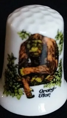 Orangutan Monkey Illustration Bone China England Souvenir Thimble • $9.79