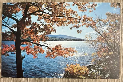 Fall Foliage Dublin Lake New Hampshire Vintage Chrome Postcard Mt Monadnock • $4.84