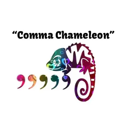 Funny Holographic Vinyl Decal For Car | Karma Chameleon Red Gold And Green • £7.23