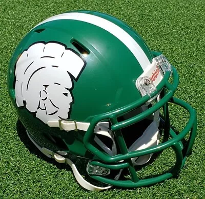 Michigan State Spartans 1974-75  Cauliflower  Tribute Football Mini Helmet • $51