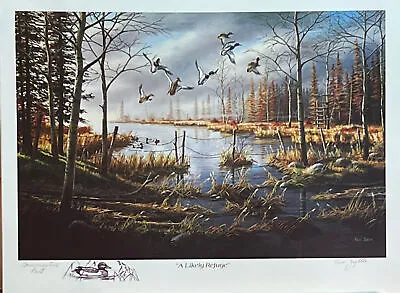 Ken Zylla A Likely Refuge Mallard Duck Art Print-17.75 X 13 • $19.95