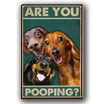 ARE YOU POOPING? Tin Sign Dachshund Dogs Bathroom Funny Toilet SALE HELPS DOGS • $14.99