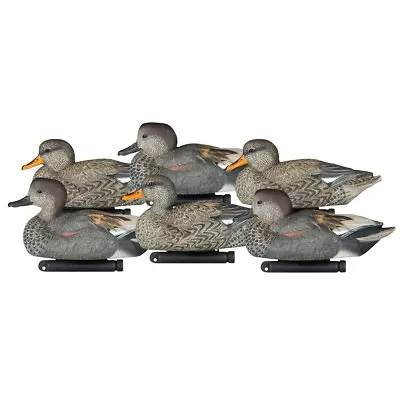 Dakota Decoys X-Treme Gadwall Duck Decoys 6 Pack • $129.99