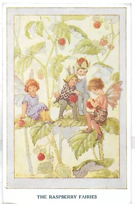 Vintage Postcardmargaret Tarrant Fairy Childrenfantasy Raspberry Fairies 1936 • £3.99