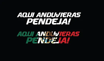 Aqui Anduvieras Pendeja Decal Car Window Map Vinyl Sticker Mexico Trucking Stick • $4.99