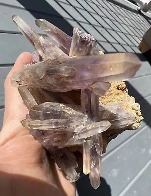 *RARE* Guerrero Amethyst Geode - Amatitlan Guerrero Mexico *Famous Collection* • $400