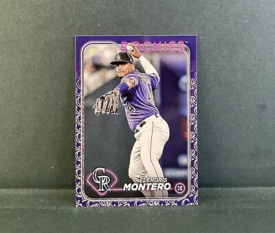 2024 Topps Baseball Series 1 Elehuris Montero Team Color Logo Variation SP #341 • $0.99