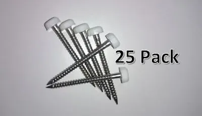 £2.79 • Buy 25 X 30mm White Polytop Plastic Headed Pins Poly Top - Stainless Steel