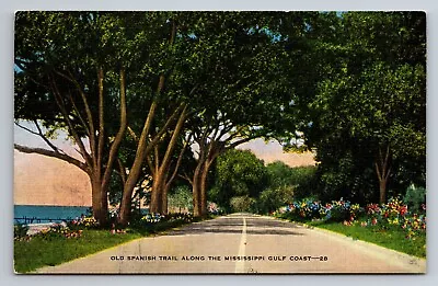 Old Spanish Trail Along Mississippi Gulf Coast Vintage Unposted Linen Postcard • $7