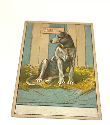 Victorian Trade Card Boar Hound C. Manegold Milling Co. Milwaukee Wisconsin • $35