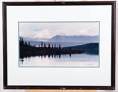 Thomas Mangelsen Photo  Under The Alaska Range - Loon  L.E. 208/950 Framed Photo • $796.63
