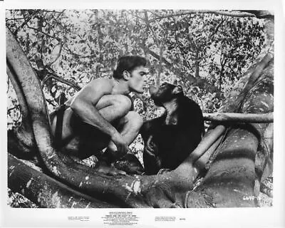 Tarzan And The Valley Of Gold Mike Henry Bare Chested Chimp Original Photo 1966 • $24.99