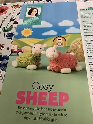 COSY SHEEP - LAMBS IN JUMPERS.  Knitting Pattern. MAGAZINE EXTRACT • £0.99