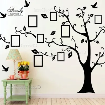Huge Family Tree Wall Stickers Birds Photo Frames Art Decals Home Decor • £9.99