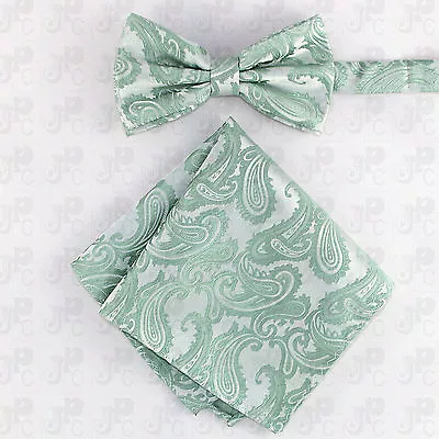 New Men's Paisley Pre-Tied Butterfly Bow Tie And Pocket Sqaure Hanky Set • $12.87
