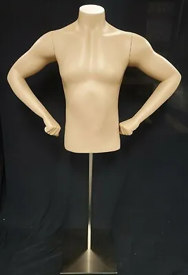 Headless Male 1/2 Torso Fiberglass Mannequin W/arms & Hands  W/ Metal Stand NIB • $74.95