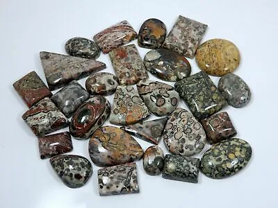 Natural Semi Precious Mixed Shape Leopard Skin Jasper Cabochon Loose Gem Lot • $99.99