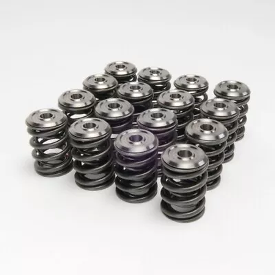 Skunk2 Dual Valve Springs Ti Retainers Honda Civic B16 B16a B16a2 B16a3 Vtec • $357.99