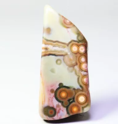 Natural Polished Ocean Jasper Agate Quartz Crystal Stone Pendant Reiki Healing • £37.99