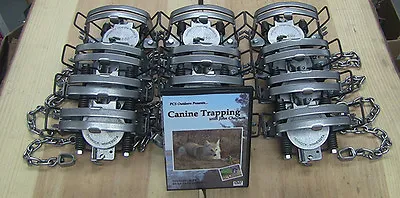 (6 Pack) Minnesota Brand MB-650 Coyote / Bobcat Trap Free DVD INCLUDED • $149.95