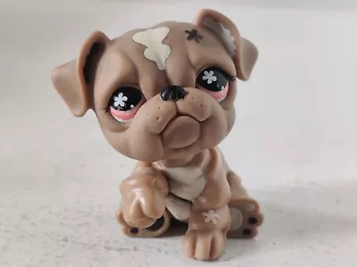 LPS Littlest Pet Shop #607 Tan Flower Coral Eyes Bulldog Hasbro Free Shipping • £17.99