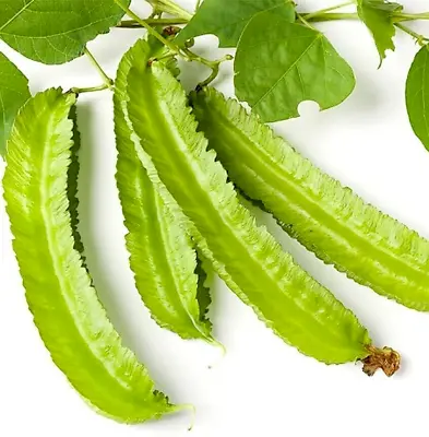 WINGED BEAN SEEDS ĐẬU RỒNG DARA DHAM BALA Manila GOA DRAGON BEAN Quality SEEDS • $7.99