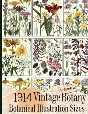 1914 Vintage Botany Botanical Illustration Sizes By C Anders: New • $15.59