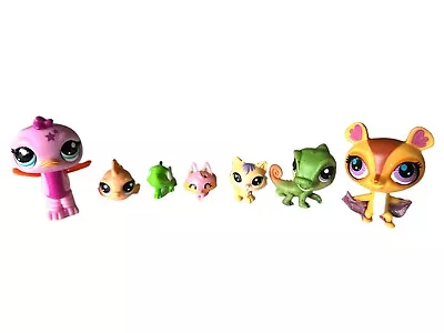 LPS Littleset Pet Shop Lot Of 7 Hasbro Sugar Glider Dancing Ostrich Chameleon • $7.99