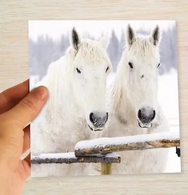 Horses Christmas Cards & Packs White Horses In Snow Winter Ponies Xmas Cards • £3.39