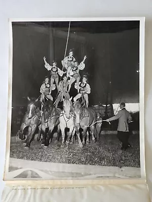 Vintage Ringling Circus 8x10 Press Photo #72 Zoppe Troupe Popular Riding Figure • $9.99