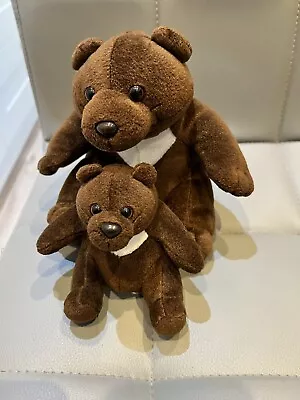 DEAGOSTINI ALL ABOUT MY ANIMAL KINGDOM Soft Toy Plush Set Bear Mum And Baby • £5
