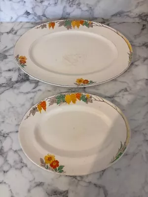 Two Serving Plates. Myott Staffordshire England; 1 Large 1 Small • £4