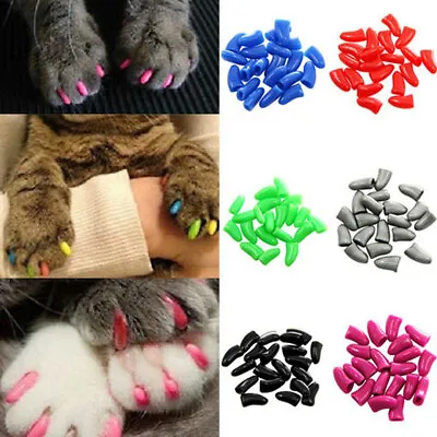 100pcs Cat Pet Nail Caps Soft Claw Adhesive Covers Dog Paws Protector Kitten Toy • $1.88