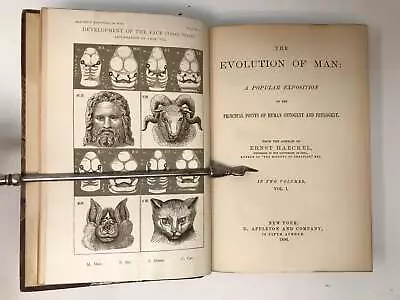 Ernst Haeckel / EVOLUTION OF MAN POPULAR EXPOSITION OF THE PRINCIPAL POINTS • $60