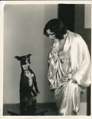 POLA NEGRI Vamp Original CANDID Terrier Dog Vintage 1920s RICHEE Portrait Photo • $34.95