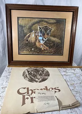 1975 Charles Frace Tiger Club Painting Cub Young Framed Artwork 23”x 27” VTG • $100