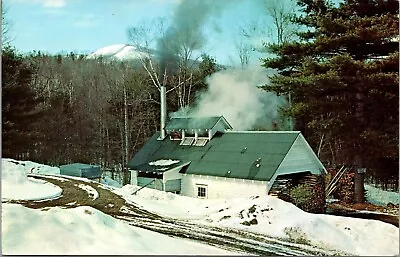 Vintage Postcard Maple Sugaring Old Time Sugar Building Vermont VT • $1.89