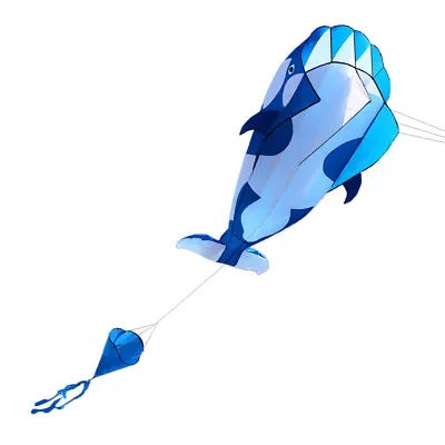 3D  Huge Frameless Soft Parafoil  Whale Flying  O5E3 • $30.91