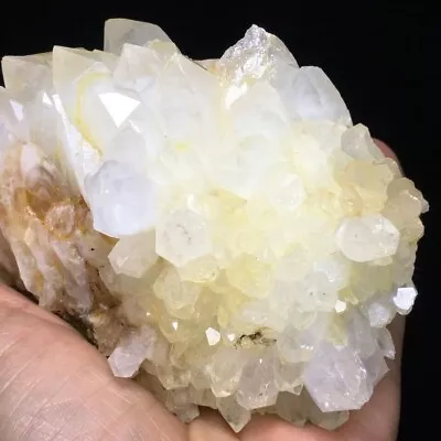 575g Museum Quality Transparent White Quartz Crystal Cluster Mineral Specimen • $70.31