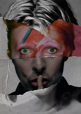 New David Bowie Ziggy Stardust Poster Print Canvas Vector Art Free Shipping • $18.16