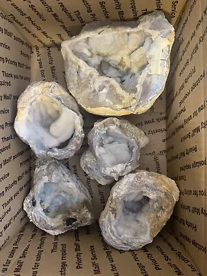 5 Large Dugway Geodes Cracked Open ( Utah ) 9.3 Lbs . • $28