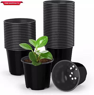 50 Pack Nursery Pots 0.5 Gallon Black Plants Flower Pots Durable Plastic Plante • $36.71