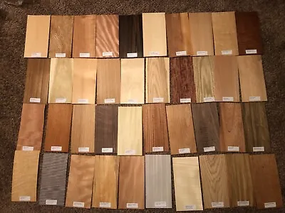 40- 6  X 12  Labeled Wood Veneer Pieces 20 Square Feet Exotic Domestic Marquetry • $37.99