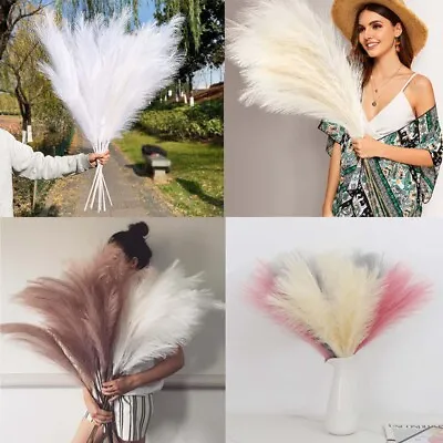 Tall Large Pampas Grass Artificial Pompous Dry Fluffy Reed Bunch DIY Vase Filler • £8.95